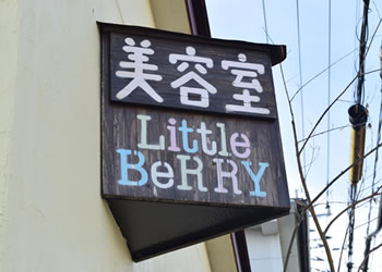 LittleBeRRY